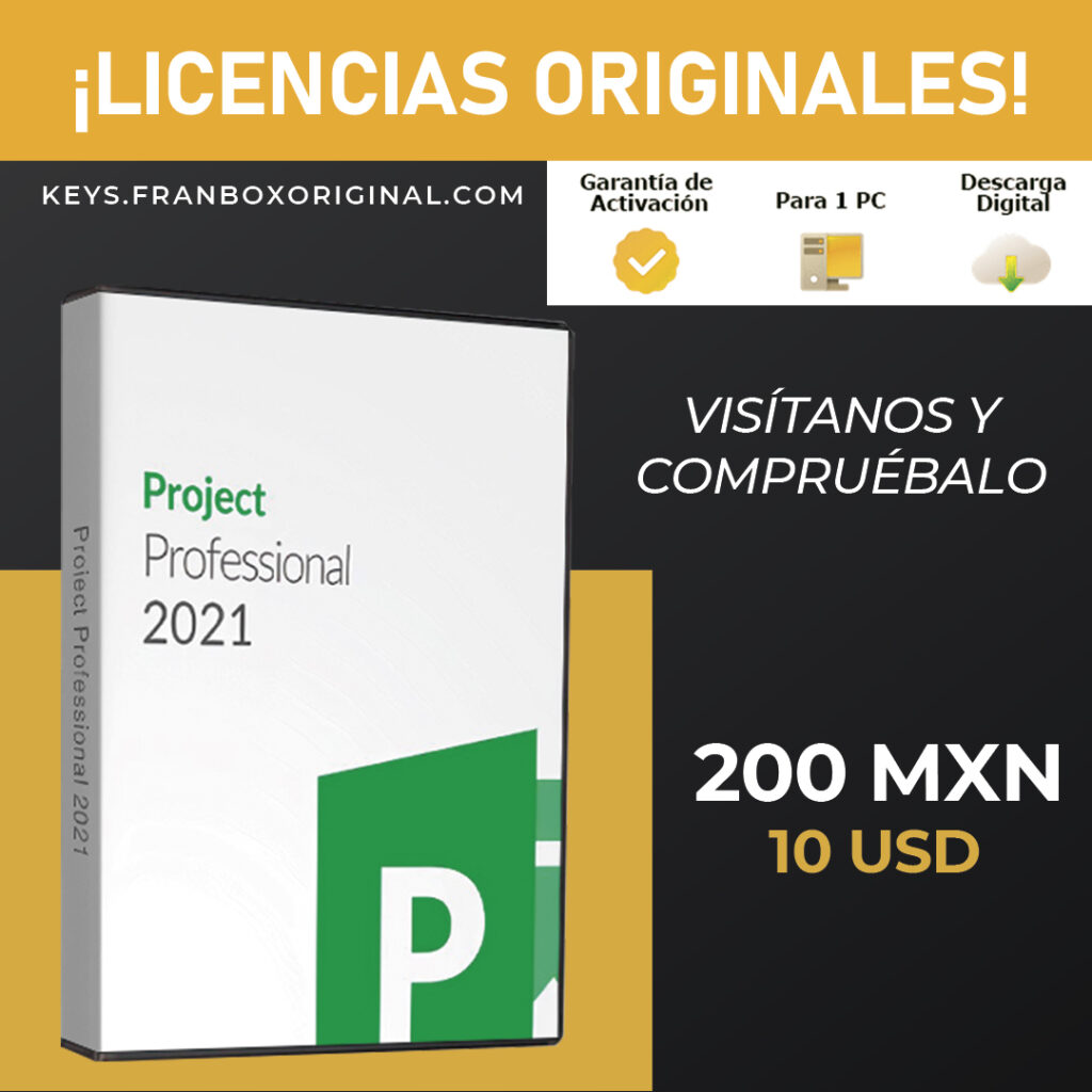 Ver Licencias de Project 2021 Imagen Key Project