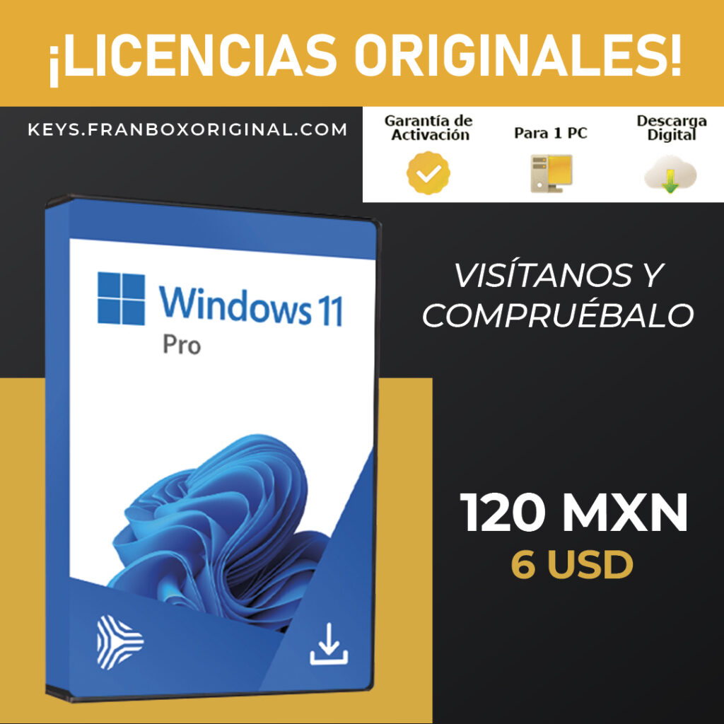 Ver Licencias de Windows 11 Imagen Key Windows
